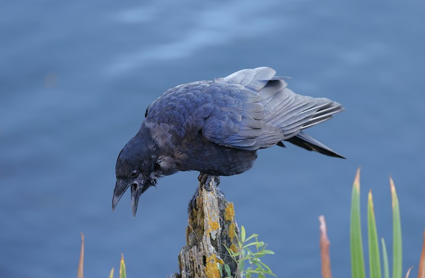 autumn themed pixelated design