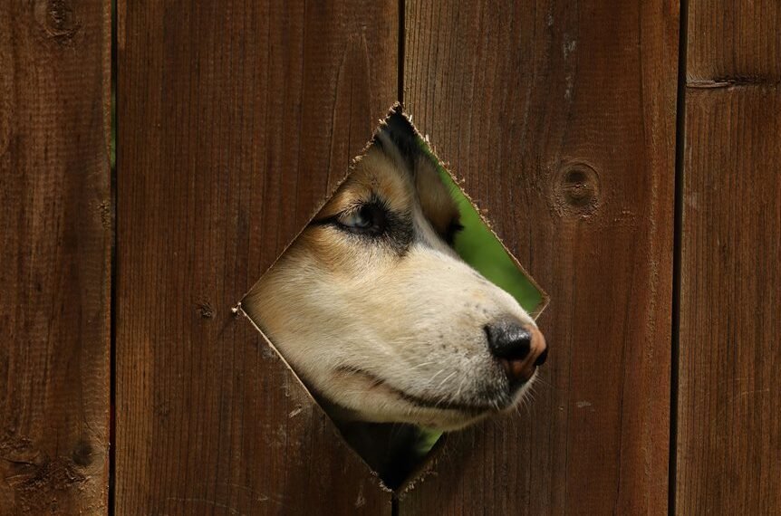 diamond whisper gate number