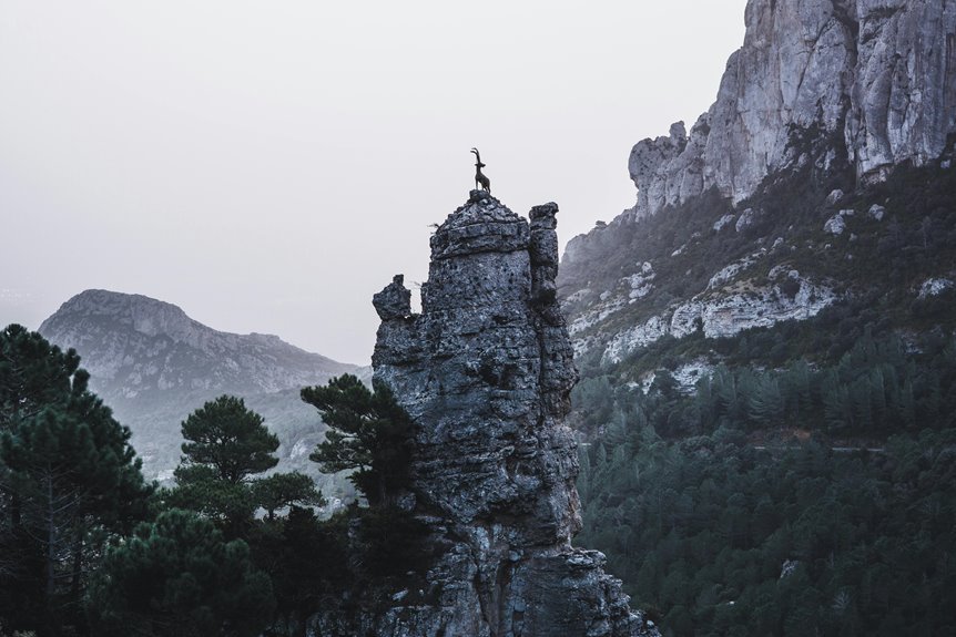 harbor summit rise location