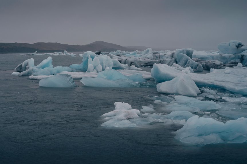 northern cedar drift location