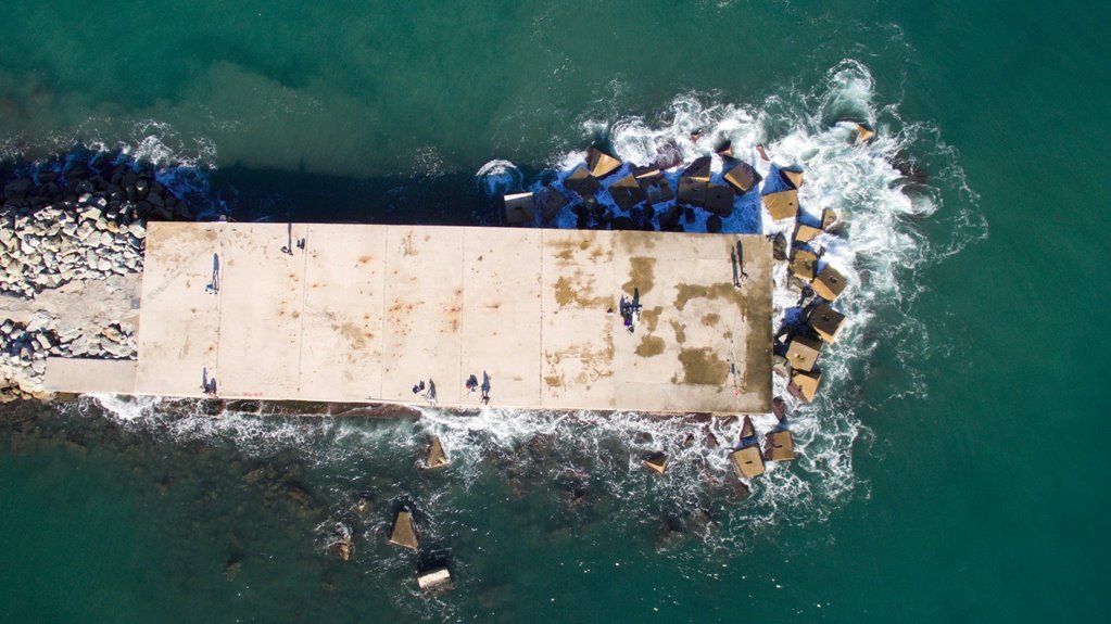 life coaching platform overview