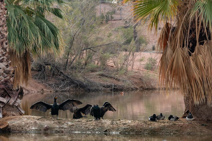 wildlife conservation initiative alert