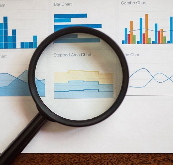 dianaandr3a website insights review